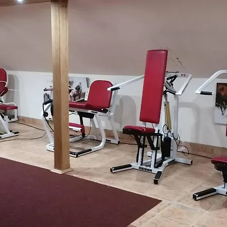 Castle Wellness 住宿加早餐酒店 *